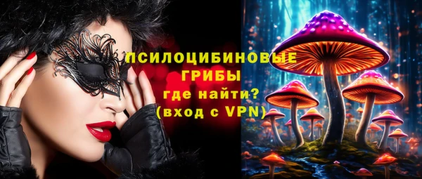 первитин Осинники