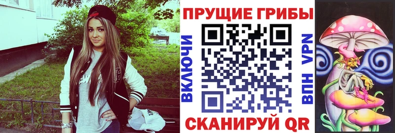 Галлюциногенные грибы MAGIC MUSHROOMS  где найти   Апшеронск 