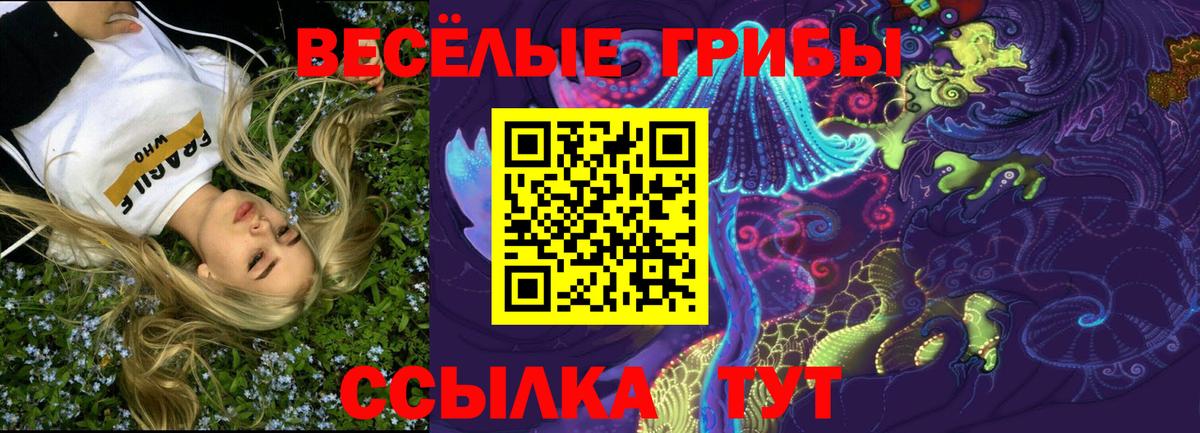 Галлюциногенные грибы Psilocybe  Вход с VPN  Апшеронск 