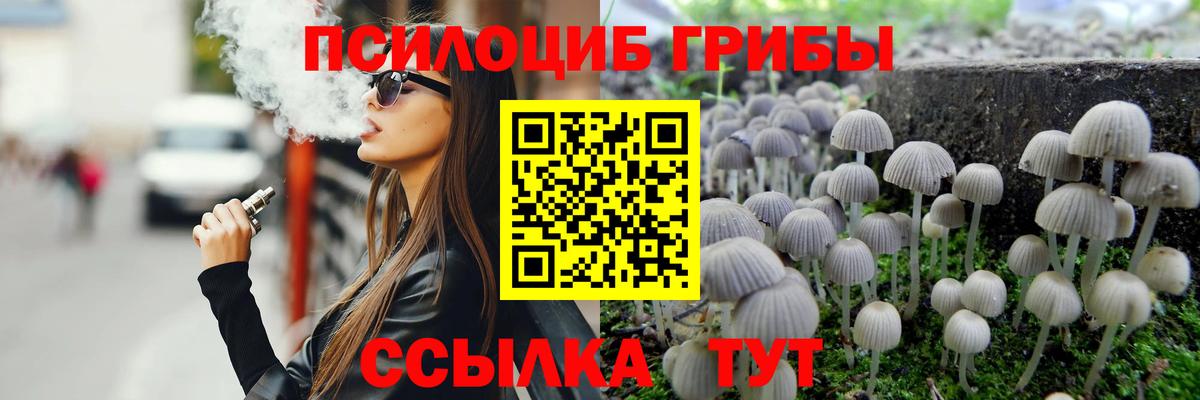 Галлюциногенные грибы Psilocybe Апшеронск